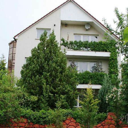 Apartman-Donau Tát Buitenkant foto